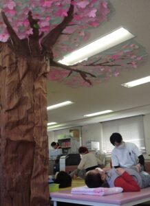 桜の下でリハビリ