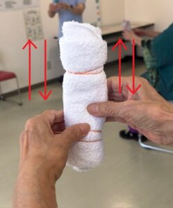 タオルダンベル上下の動きの写真