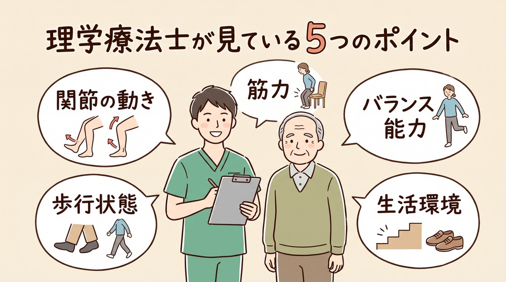 理学療法士が高齢者を見ているポイントのイラスト